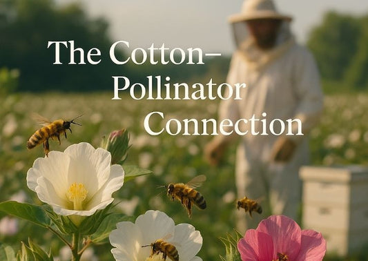 Cotton and Honeybees: A Beneficial Partnership for SC Growers