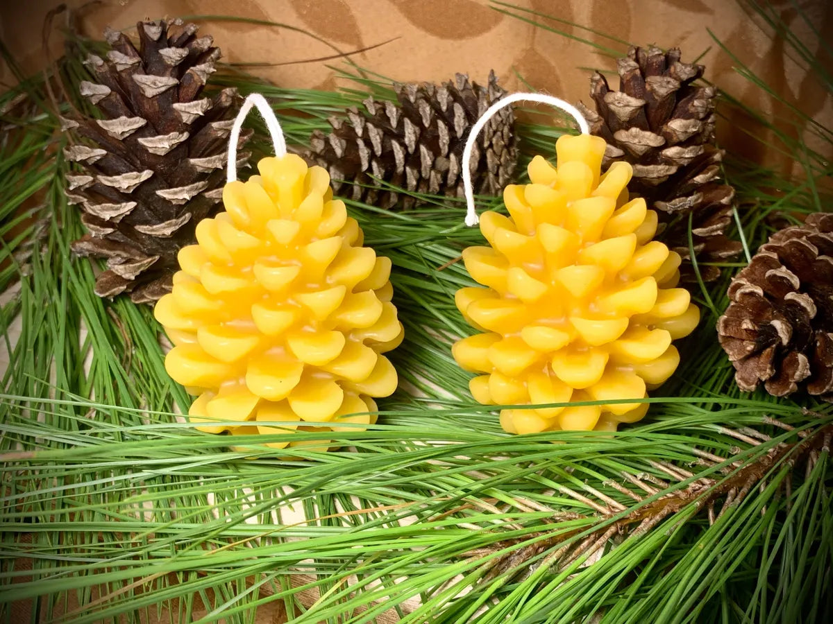 Pinecone 100% Beeswax Candle