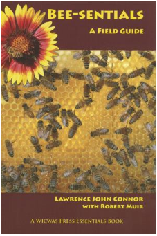 Bee-sentials