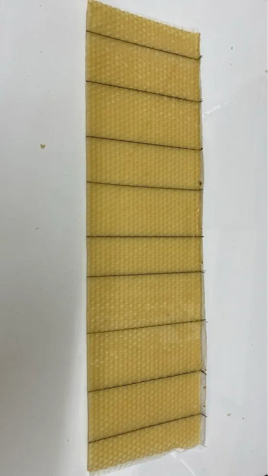 Crimp Wire Wax Foundation, Shallow